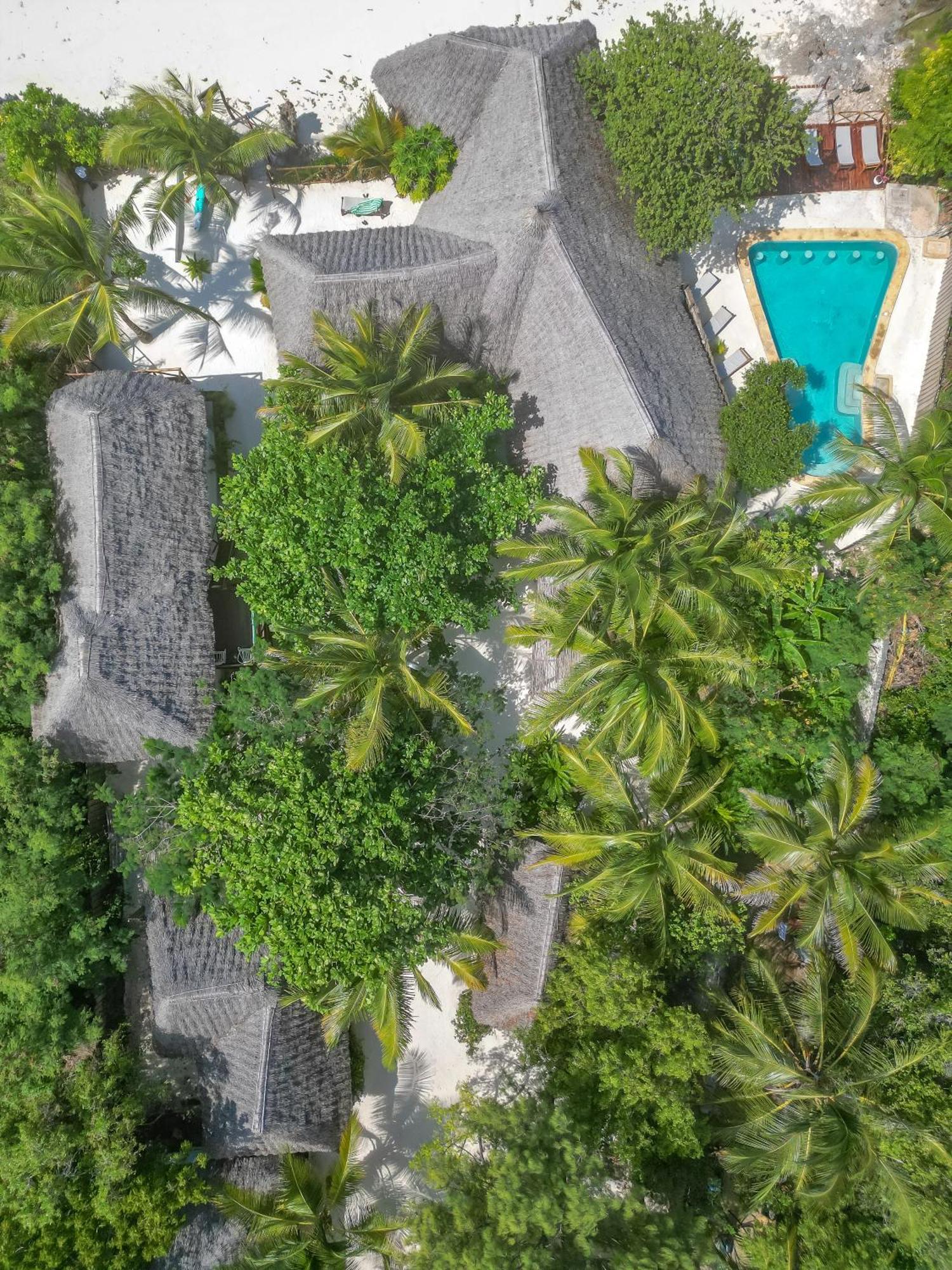 Natural Garden Boutique Hotel Jambiani  Ngoại thất bức ảnh