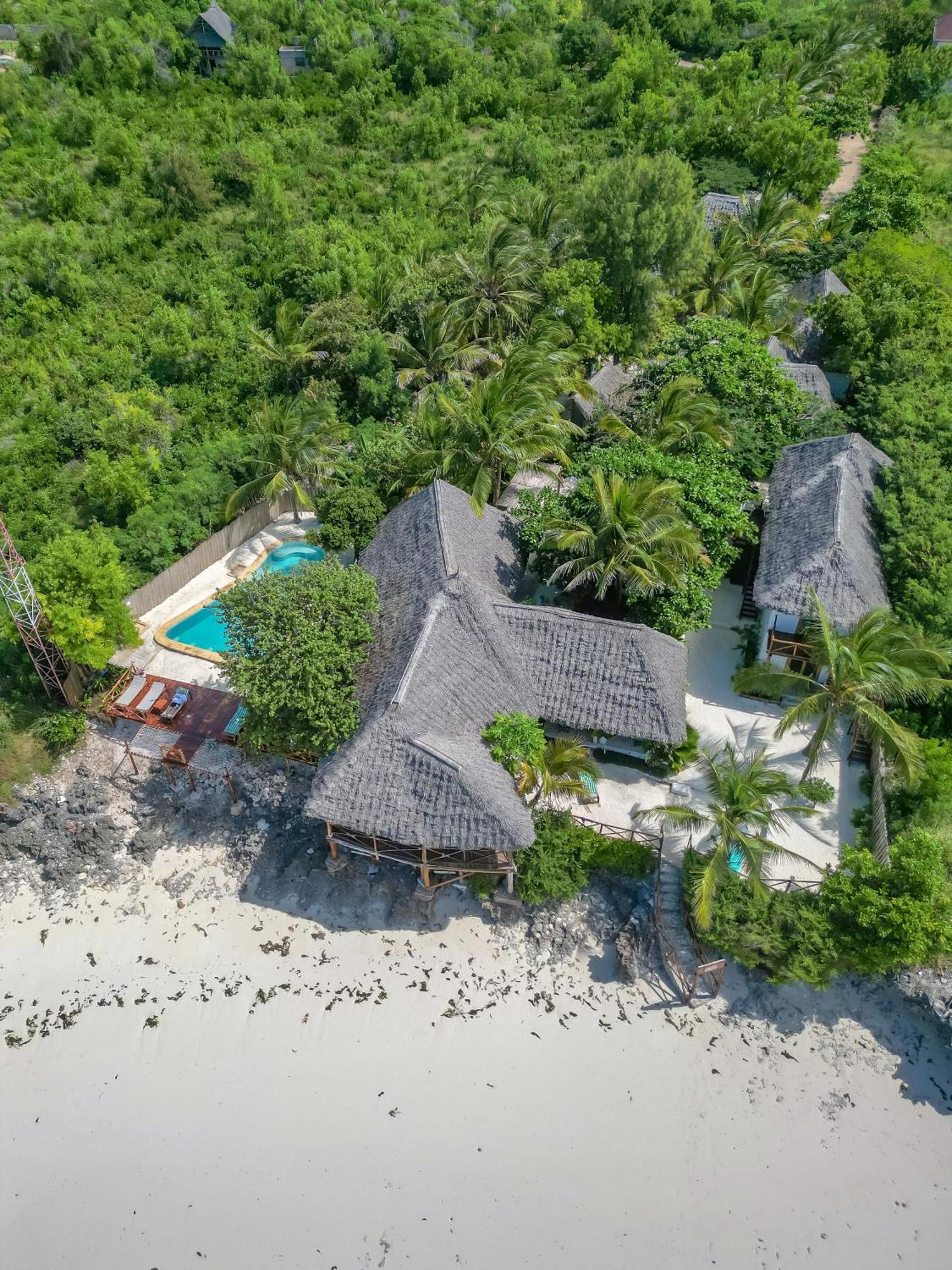 Natural Garden Boutique Hotel Jambiani  Ngoại thất bức ảnh