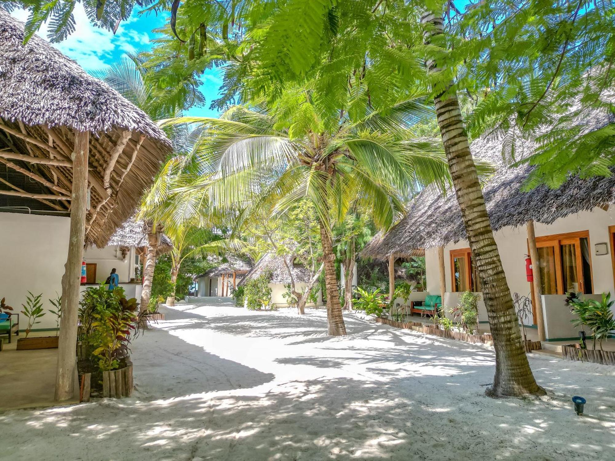 Natural Garden Boutique Hotel Jambiani  Ngoại thất bức ảnh